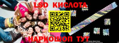 прущие грибы Норильск