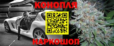 прущие грибы Норильск