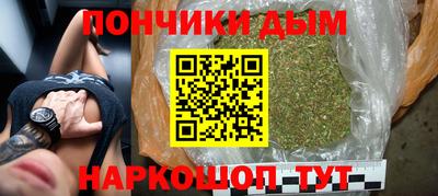 прущие грибы Норильск