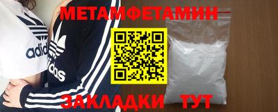прущие грибы Норильск