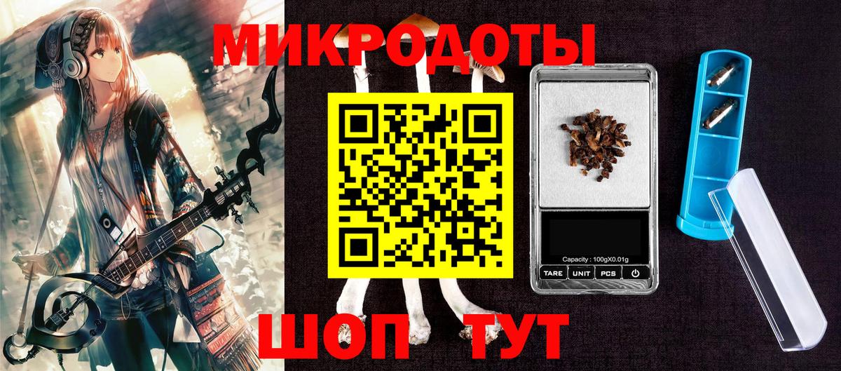 Псилоцибиновые грибы Psilocybe Миасс